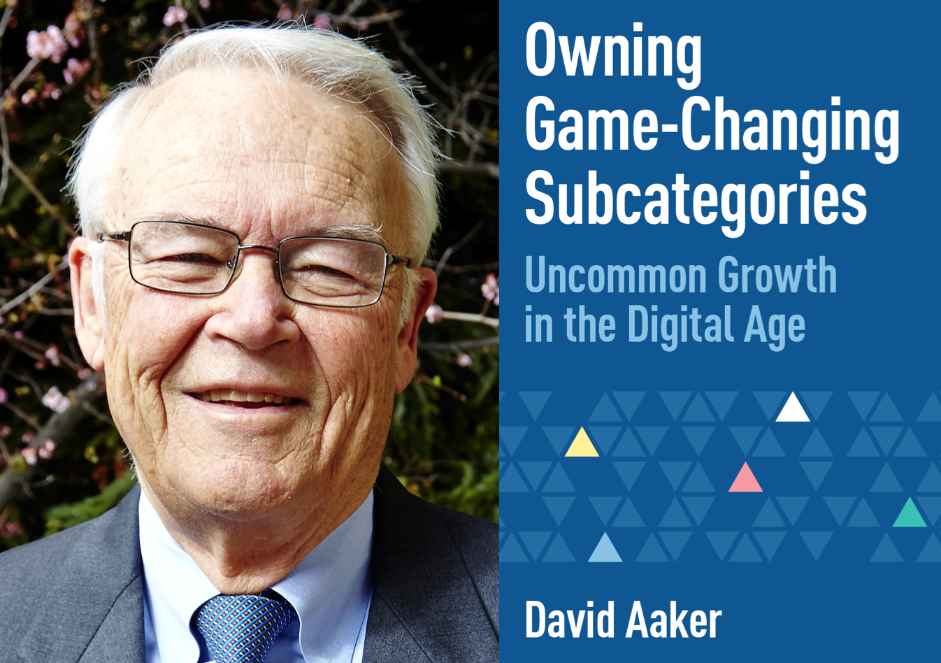 The Marketing Book Podcast Owning Game Changing Subcategories By David Aaker